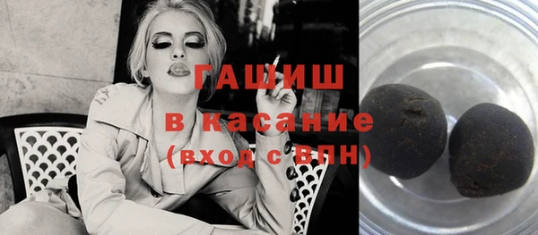 соль ск Ельня