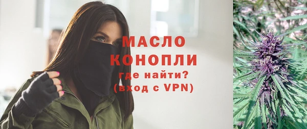 соль ск Ельня