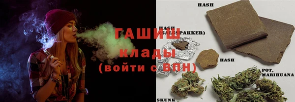 соль ск Ельня