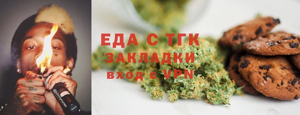 соль ск Ельня