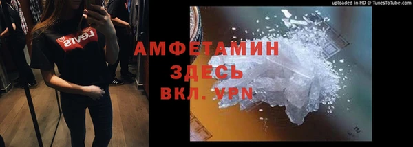соль ск Ельня