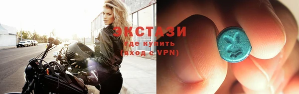 соль ск Ельня