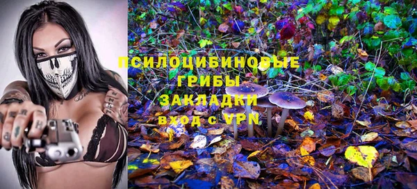 соль ск Ельня