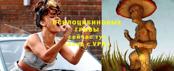 соль ск Ельня