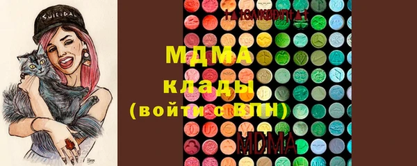 соль ск Ельня