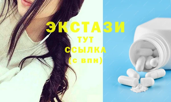 соль ск Ельня