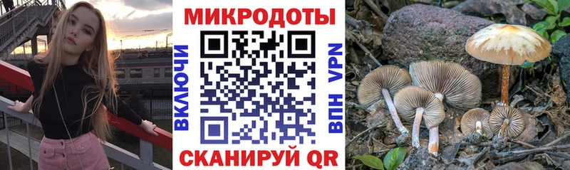 Купить где  Красавино  Галлюциногенные грибы Magic Shrooms 